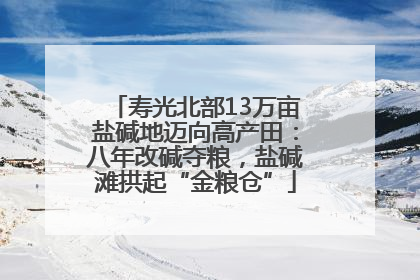 寿光北部13万亩盐碱地迈向高产田：八年改碱夺粮，盐碱滩拱起“金粮仓”