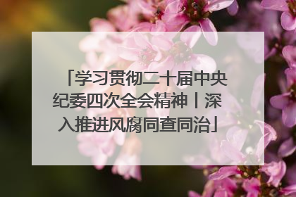 学习贯彻二十届中央纪委四次全会精神丨深入推进风腐同查同治