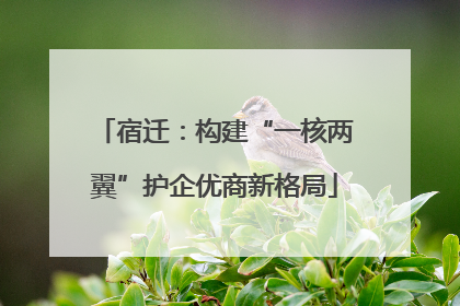 宿迁：构建“一核两翼”护企优商新格局