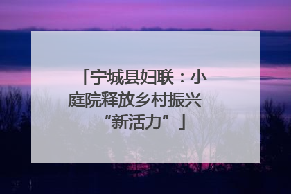 宁城县妇联：小庭院释放乡村振兴“新活力”