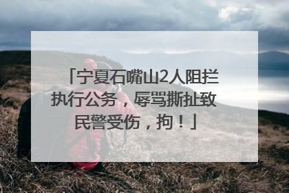宁夏石嘴山2人阻拦执行公务，辱骂撕扯致民警受伤，拘！