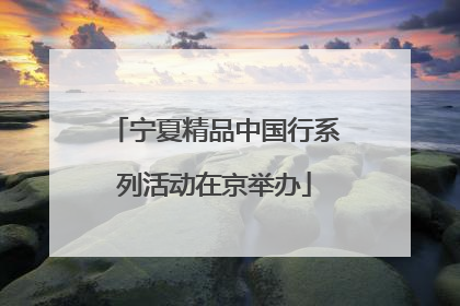 宁夏精品中国行系列活动在京举办