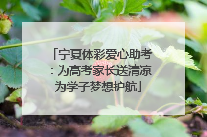 宁夏体彩爱心助考：为高考家长送清凉 为学子梦想护航