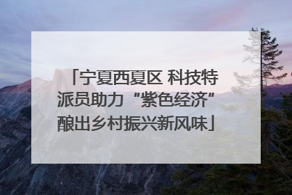 宁夏西夏区 科技特派员助力“紫色经济”酿出乡村振兴新风味