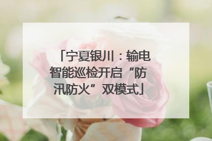 宁夏银川：输电智能巡检开启“防汛防火”双模式