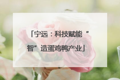 宁远：科技赋能“智”造蛋鸡鸭产业