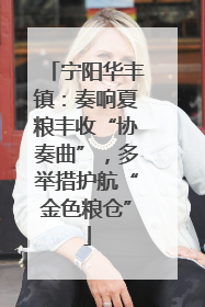 宁阳华丰镇：奏响夏粮丰收“协奏曲”，多举措护航“金色粮仓”