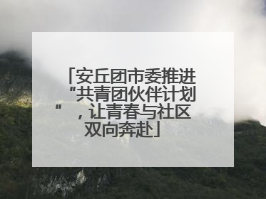 安丘团市委推进“共青团伙伴计划”，让青春与社区双向奔赴