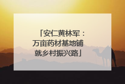 安仁黄林军：万亩药材基地铺就乡村振兴路