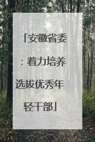 安徽省委：着力培养选拔优秀年轻干部
