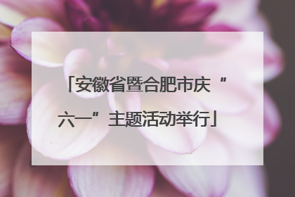 安徽省暨合肥市庆“六一”主题活动举行