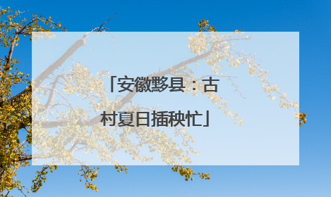 安徽黟县：古村夏日插秧忙