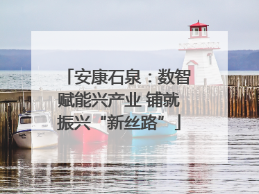 安康石泉：数智赋能兴产业 铺就振兴“新丝路”