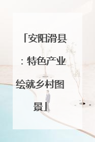 安阳滑县：特色产业绘就乡村图景