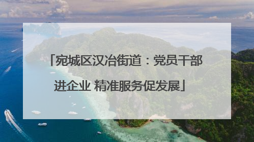 宛城区汉冶街道：党员干部进企业 精准服务促发展