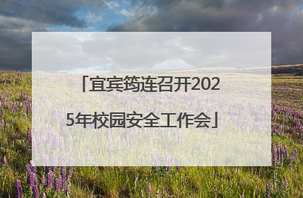 宜宾筠连召开2025年校园安全工作会
