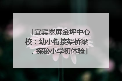 宜宾翠屏金坪中心校：幼小衔接架桥梁，探秘小学初体验
