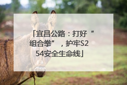 宜昌公路：打好“组合拳”，护牢S254安全生命线