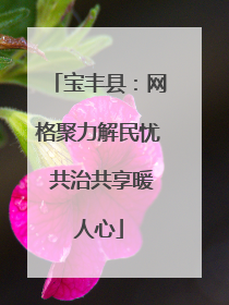 宝丰县：网格聚力解民忧 共治共享暖人心