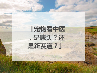 宠物看中医，是噱头？还是新赛道？