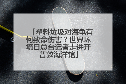塑料垃圾对海龟有何致命伤害？世界环境日总台记者走进开普敦海洋馆