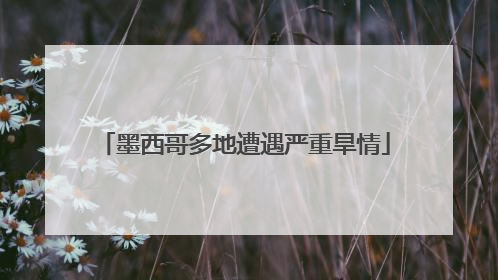 墨西哥多地遭遇严重旱情