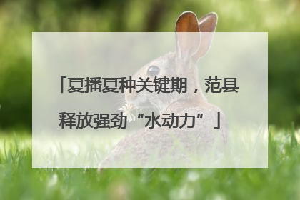 夏播夏种关键期，范县释放强劲“水动力”