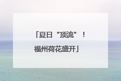 夏日“顶流”！福州荷花盛开