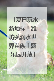 夏日玩水新地标！潍坊弘润水世界苗族主题乐园开放