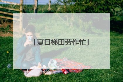 夏日梯田劳作忙