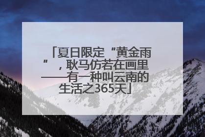 夏日限定“黄金雨”，耿马仿若在画里——有一种叫云南的生活之365天