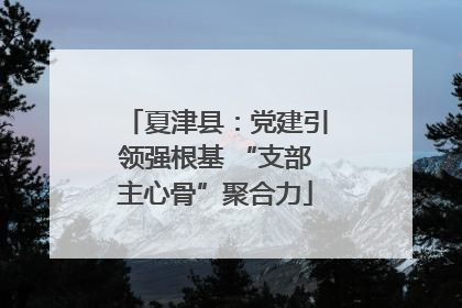 夏津县：党建引领强根基 “支部主心骨”聚合力