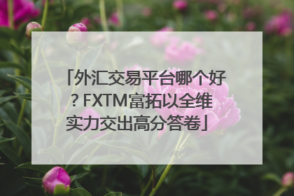 外汇交易平台哪个好？FXTM富拓以全维实力交出高分答卷