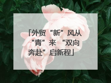 外贸“新”风从“青”来 “双向奔赴”启新程