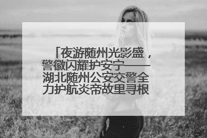 夜游随州光影盛，警徽闪耀护安宁——湖北随州公安交警全力护航炎帝故里寻根节夜游活动侧记