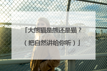 大熊猫是熊还是猫？（把自然讲给你听）