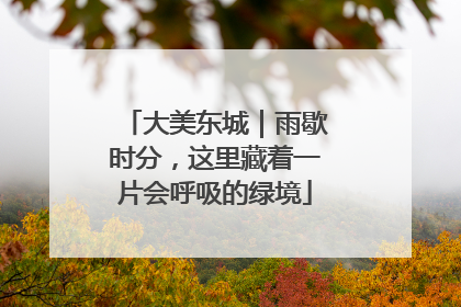 大美东城｜雨歇时分，这里藏着一片会呼吸的绿境