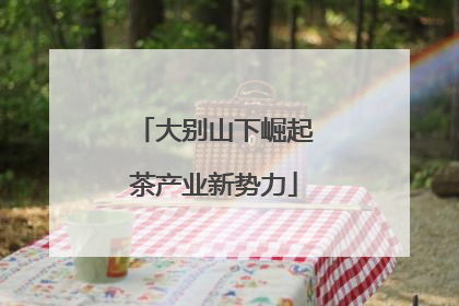 大别山下崛起茶产业新势力