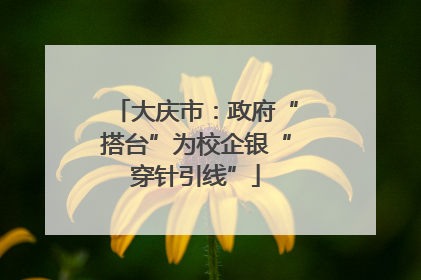 大庆市：政府“搭台”为校企银“穿针引线”