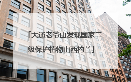 大通老爷山发现国家二级保护植物山西杓兰