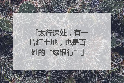 太行深处，有一片红土地，也是百姓的“绿银行”