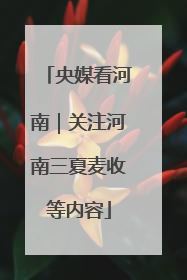 央媒看河南｜关注河南三夏麦收等内容