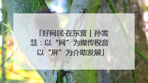 好网民·在东营｜孙雪慧：以“网”为媒传税音 以“屏”为介助发展
