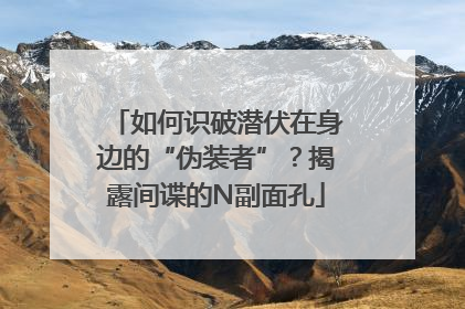 如何识破潜伏在身边的“伪装者”？揭露间谍的N副面孔