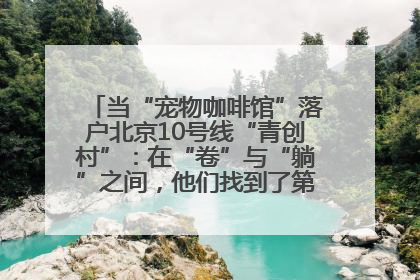 当“宠物咖啡馆”落户北京10号线“青创村”：在“卷”与“躺”之间，他们找到了第三种生活公式