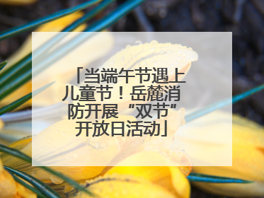 当端午节遇上儿童节！岳麓消防开展“双节”开放日活动
