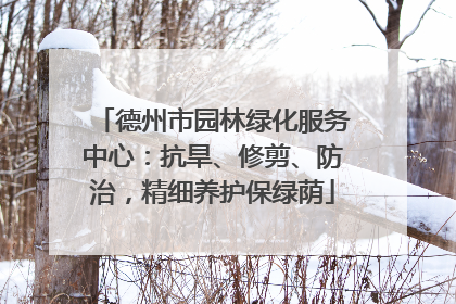德州市园林绿化服务中心：抗旱、修剪、防治，精细养护保绿荫