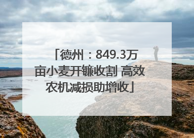德州：849.3万亩小麦开镰收割 高效农机减损助增收