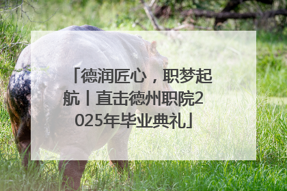 德润匠心，职梦起航丨直击德州职院2025年毕业典礼