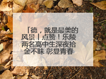 德，就是最美的风景丨点赞！乐陵两名高中生深夜拾金不昧 彰显青春正能量